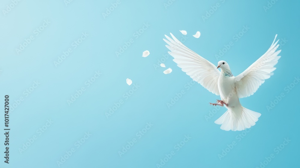 Obraz premium Majestic White Dove in Flight Against Serene Blue Sky with Ethereal Feather Trails