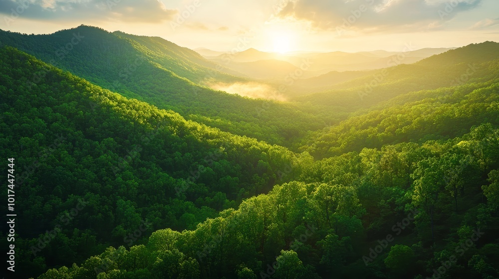 Obraz premium A breathtaking view of the Ozark Mountains in Missouri, bathed in the golden light of sunset. The rolling hills, lush greenery, and distant haze create a peaceful and inspiring atmosphere.