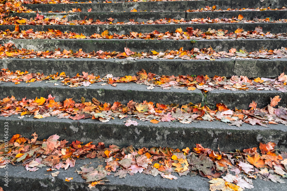 Stone stairs covered in autumn leaves