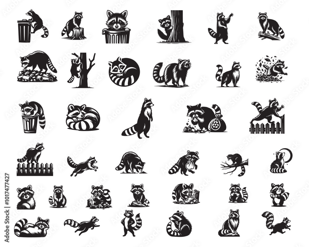 Raccoon Various Gesture Collection - Raccoon Clipart Design Vector illustration Raccoon Various Gesture Collection - Raccoon Clipart Design Vector illustration