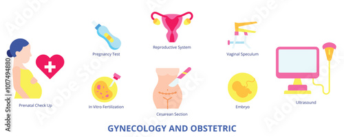 Gynecology and Obstetric Flat Banner Web Icon Set Vector Illustration, Pregnancy Prenatal Checkup Ultrasound Reproductive System In Vitro Fertilization Embryo Cesarean Section Vaginal Speculum