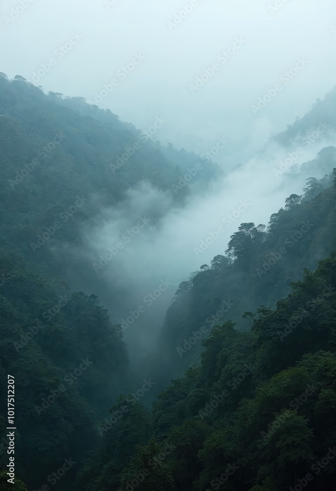 Misty Rainforest Valley Covered in Dense Fog Misty Rainforest Valley Covered in Dense Fog