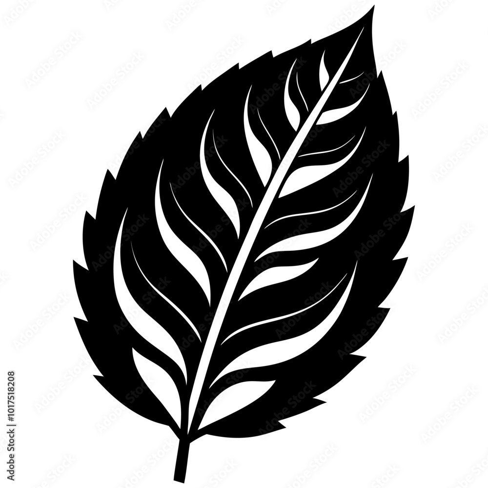 Obraz premium leaf-vector-illustration--silhouettes