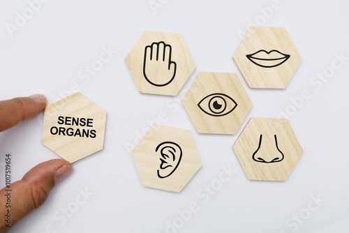 Foto hexagons with five Sense organs icons namely sight, hearing, smell, teste and touch