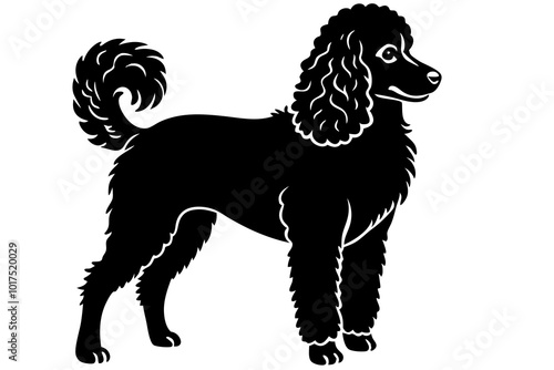  poodle silhouette vector white background