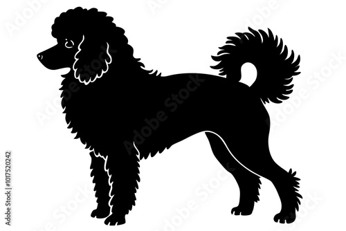  poodle silhouette vector white background