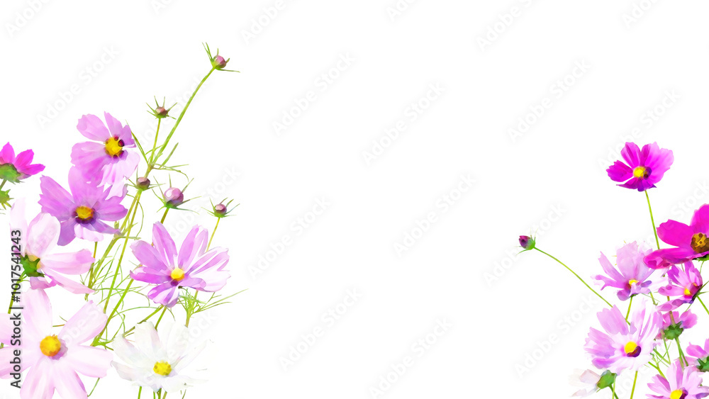 透過イラストフレーム-秋桜(16:9)2 透過イラストフレーム-秋桜(16:9)2
