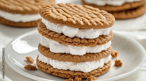 Lotus Biscoff Cookie Marshmallow with S'mores Flavor: Sweet Lotus Biscoff Cookie Marshmallow with S'mores Flavor, Ideal for Dessert and Treat Themes.