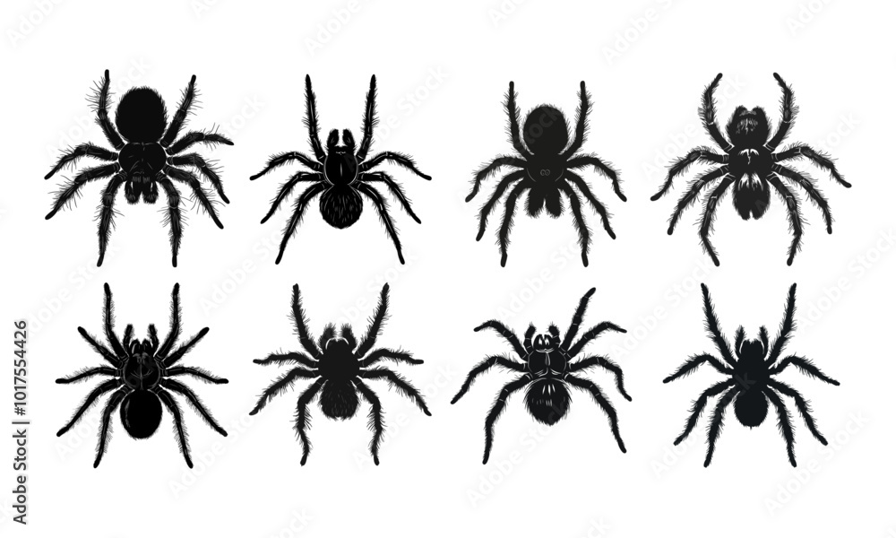Photo & Art Print Vector set of insect spiders beetles arthropods stencil illustration simple design, Creative_View photo-art-print-vector-set-of-insect-spiders-beetles-arthropods-stencil-illustration-simple-design-creative-view