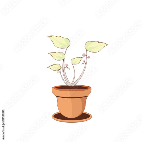 Set of clay ceramic vases with exotic leaves. Modern clay pottery with tropical composition. Trendy design for home interior. Hand drawn clay pottery of different shapes, sizes and colors. Vector