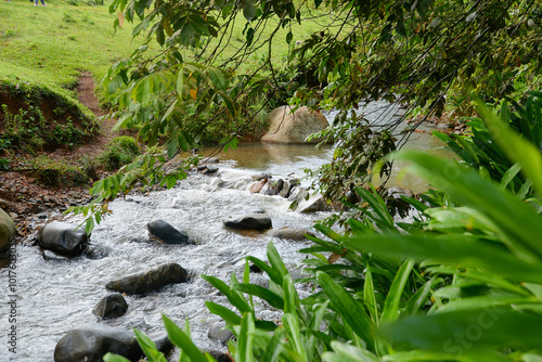 Natural river, town of Pance, Valle del Cauca, Cali Colombia. Crystal clear water, river of life, photography, landscapes, cop16 photo