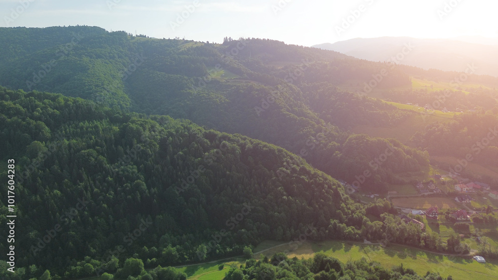 landscape of lush green hills and dense forest landscape of lush green hills and dense forest