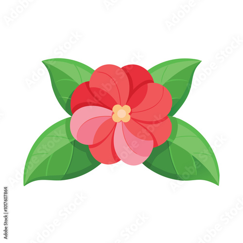 Impatiens flower isolated flat vector illustration on white background.