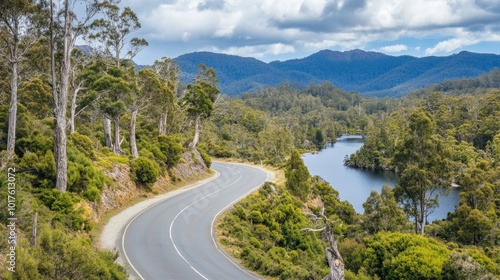 Scenic Curved Road Through Lush Green Landscape