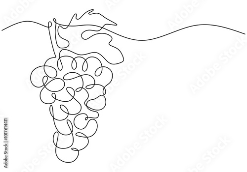 Continuous line drawing of grapes. Simplified design for fruit and wine concepts.