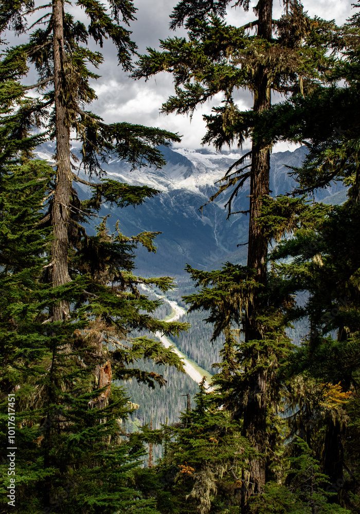 When humans and nature collide When humans and nature collide
