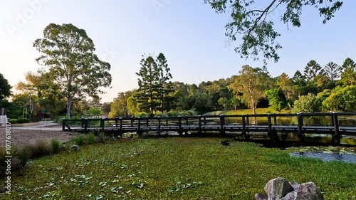 Scenic Botanical Gardens Walkway photo