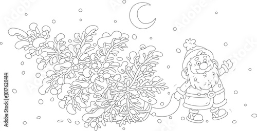 Funny Santa Claus pulling his sleigh with a beautiful Christmas tree from a winter forest to decorate for merry holidays, black and white vector cartoon illustration for a coloring book