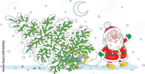 Funny Santa Claus with an ax and sleigh choosing a beautiful green Christmas tree in a winter forest for the merry holiday, black and white vector cartoon illustration for a coloring book