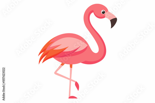Pink flamingo bird vector, Exotic pink flamingo bird, Flamingo bird animal clipart