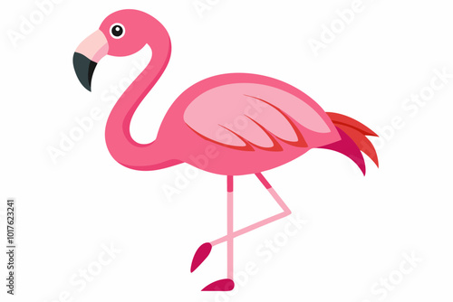 Pink flamingo bird vector, Exotic pink flamingo bird, Flamingo bird animal clipart