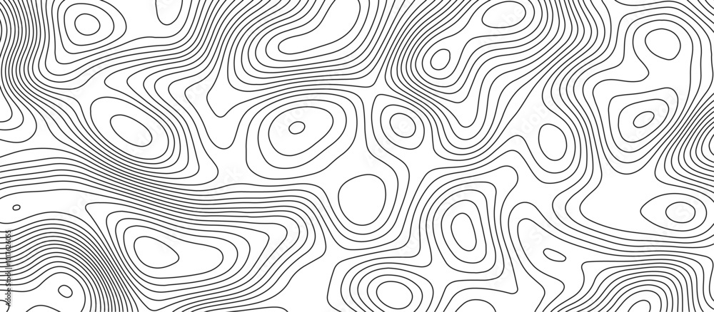 Fototapeta premium White topology and topography vector design abstract background contour map texture for print works . black curve line background with wave shape vector illustration.