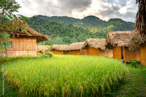 The beautiful scenery like heaven of Nam Hong village, Ha Giang province, Vietnam. Feeling peaceful, relaxed and full of life.