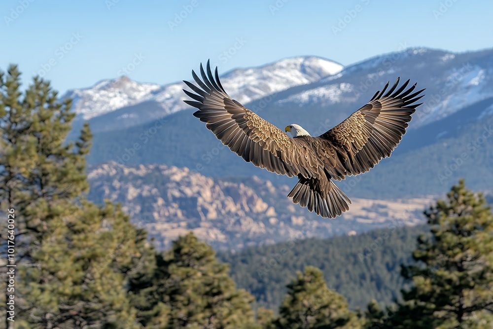 Fototapeta premium Eagle soaring over mountainous landscape with trees.