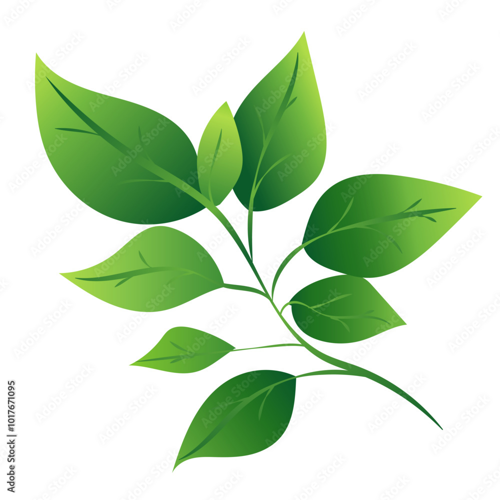 This image features a green leaf branch with various leaf shapes, showcasing a smooth graphic style on a white background. Vector illustration This image features a green leaf branch with various leaf shapes, showcasing a smooth graphic style on a white background. Vector illustration