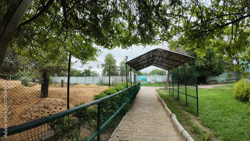 A serene shaded walkway constructed with a bamboo roof and steel supports A serene shaded walkway constructed with a bamboo roof and steel supports