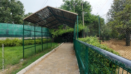 A serene shaded walkway constructed with a bamboo roof and steel supports