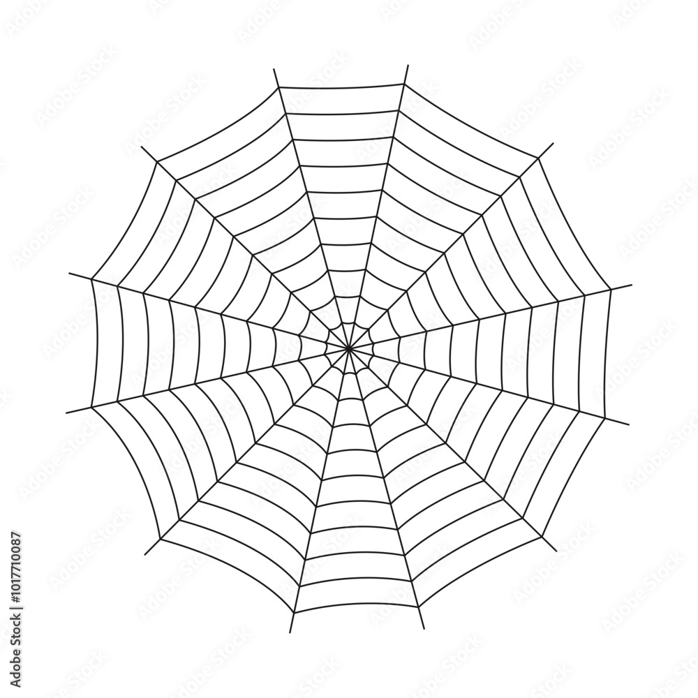 Obraz premium Spider Web Illustration