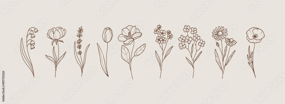 Line art garden flowers. Lily of the valley, peony, lavender, tulip, magnolia, forget-me-not, dogwood, chamomile, poppy Line art garden flowers. Lily of the valley, peony, lavender, tulip, magnolia, forget-me-not, dogwood, chamomile, poppy