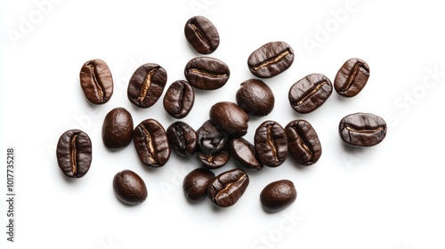 The Fresh Coffee Bean Collection