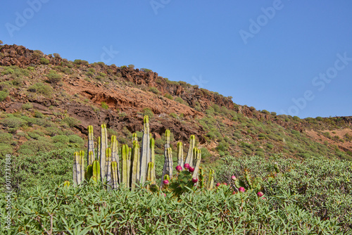 Wandern auf Teneriffa vom Playa Del Puertito De Adeje nach La Caleta photo