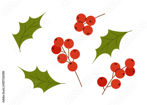 Holly berry and red rowan berry branch. Red ilex branch. Vector icon holiday plants isolated on white background. 