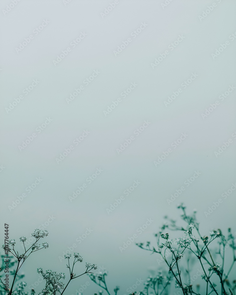 Misty Morning Wildflowers Minimalist Nature Photography Misty Morning Wildflowers Minimalist Nature Photography