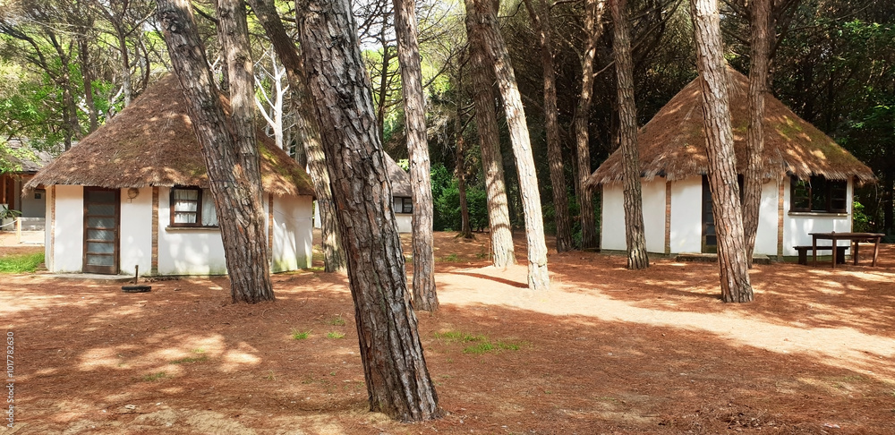 Panorama of glamping in the forest with round houses like in Africa. Panorama of glamping in the forest with round houses like in Africa.