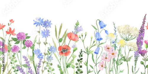 watercolor arrangements with small flower. Botanical illustration minimal style.
