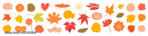 Fall design elements bundle - leaves and abstract shapes. Autumn leaves of birch, maple, oak, maiden grape. Organic shapes for background, freehand drawing. Big set of symbols for fall graphics.