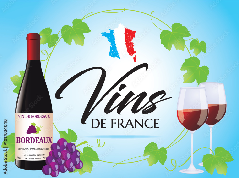 VINS DE FRANCE - RAISIN ET FEUILLES DE VIGNE 1