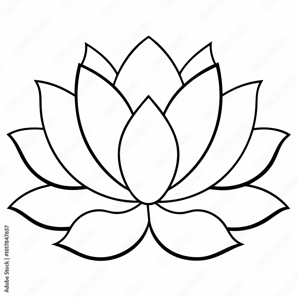 lotus flower vector lotus flower vector