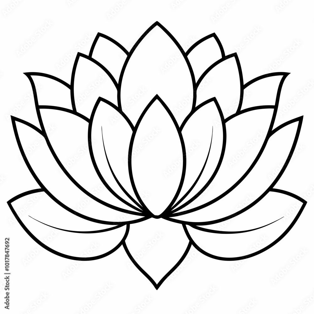 lotus flower vector lotus flower vector