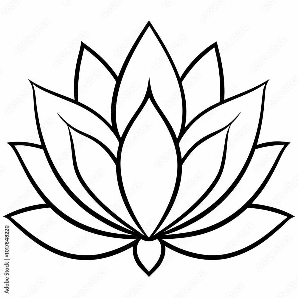 lotus flower vector lotus flower vector