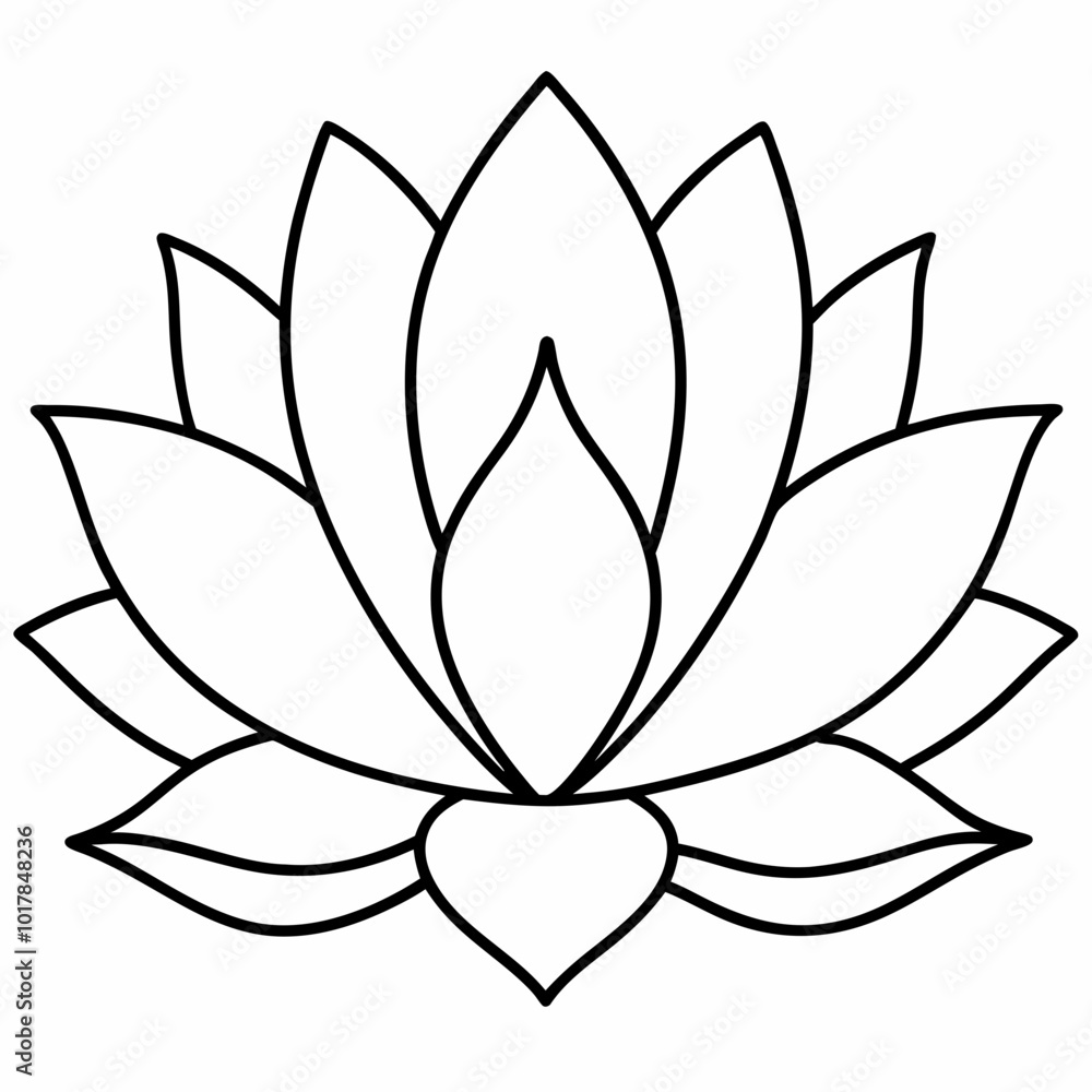 lotus flower isolated on white lotus flower isolated on white