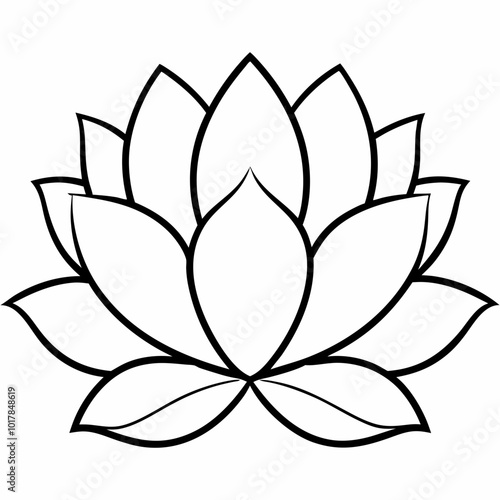 lotus flower vector