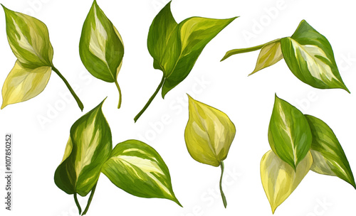 Watercolor tropical leaves set, green leaves and plants illustration isolated on white background