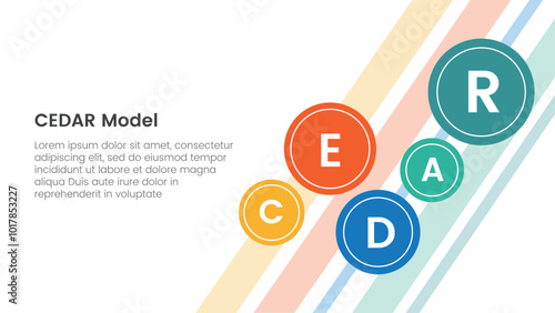 CEDAR feedback model infographic template banner with small circle spreading for background main page with circle badge with 5 point list information for slide presentation