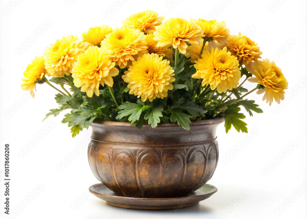 bouquet of flowers in a vase. flower, bouquet, flowers, vase, yellow, plant, nature, daisy, isolated, blossom, spring, flora, bloom, leaf, orange, gerbera, bunch, summer, chrysanthemum, floral, garden bouquet of flowers in a vase. flower, bouquet, flowers, vase, yellow, plant, nature, daisy, isolated, blossom, spring, flora, bloom, leaf, orange, gerbera, bunch, summer, chrysanthemum, floral, garden