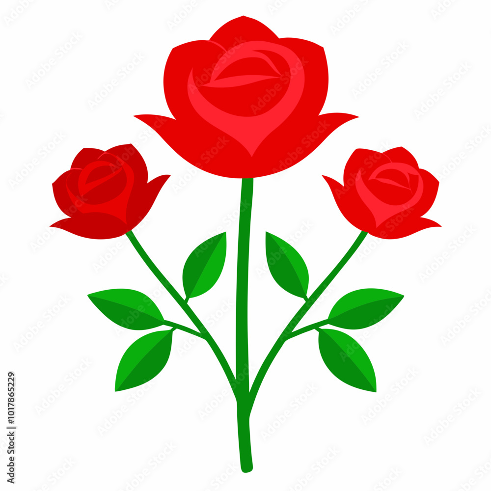 Fototapeta premium Red roses symbolize love and romance, and red roses on a white background are a classic Valentine's Day gift